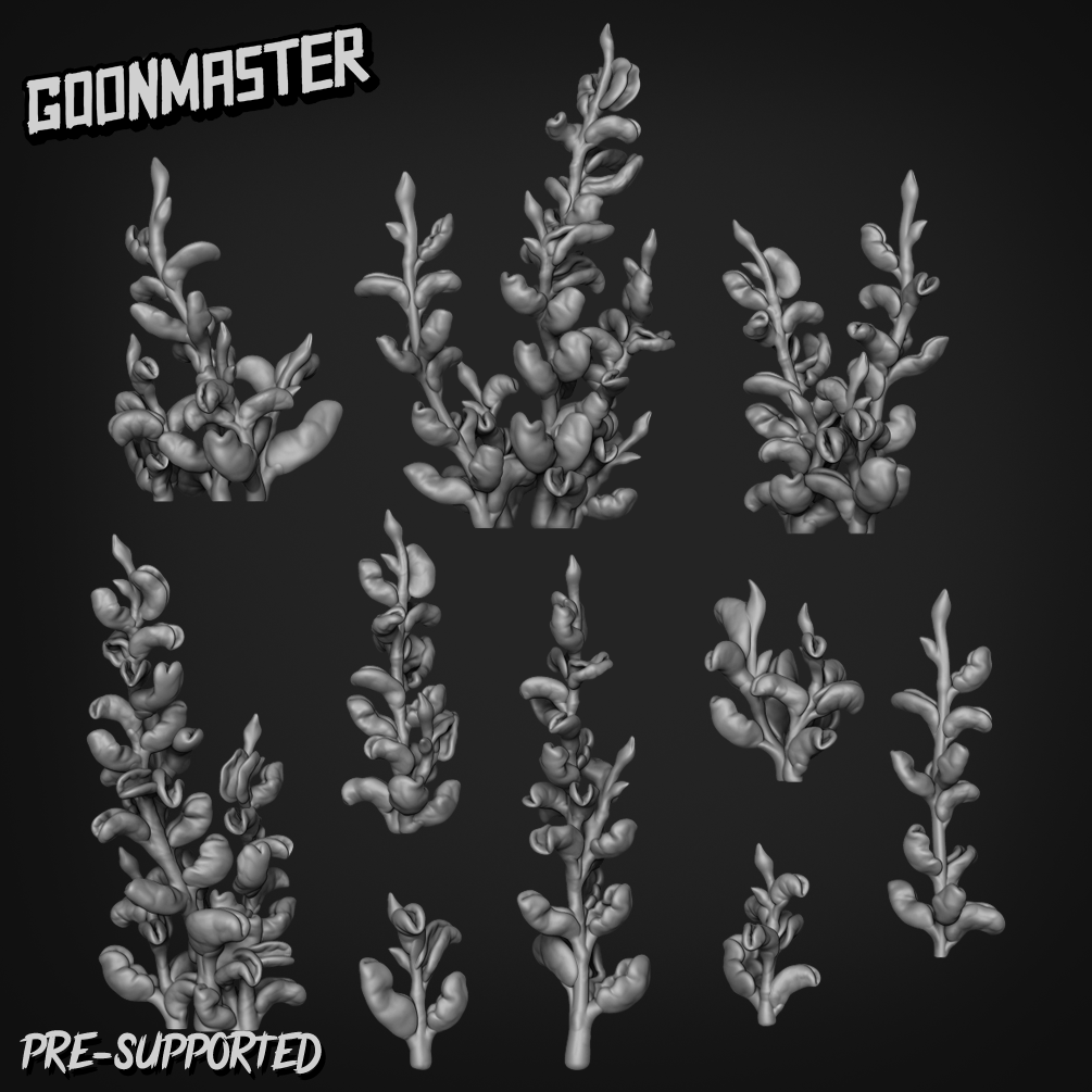 Basing Bits 187 - Hoya Carnosa Var Compacta